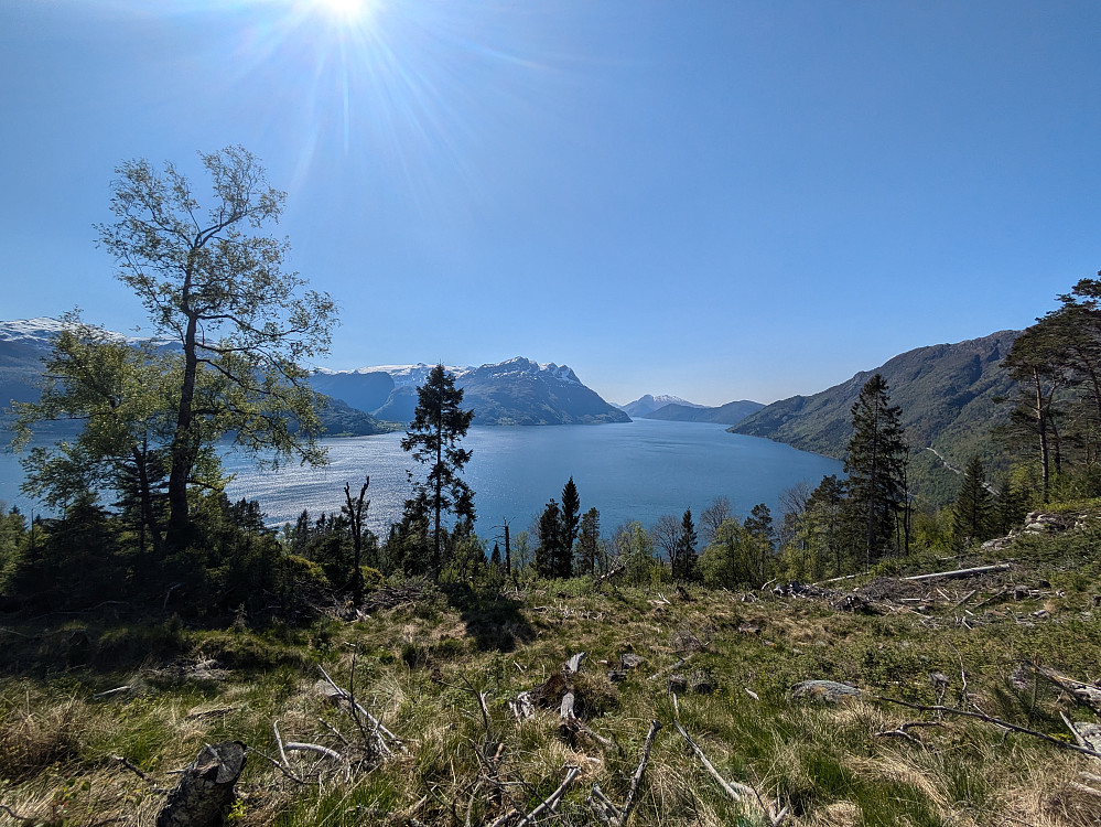 Rusletur etter jobb opp i skogs feltet, før avreise med bobilen og gutta boys,mot Lærdal og Hemsedalsfjellet
