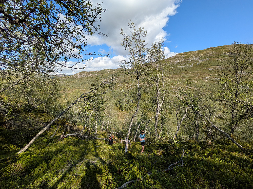 Bratt men greit opp mot Kupenovi
