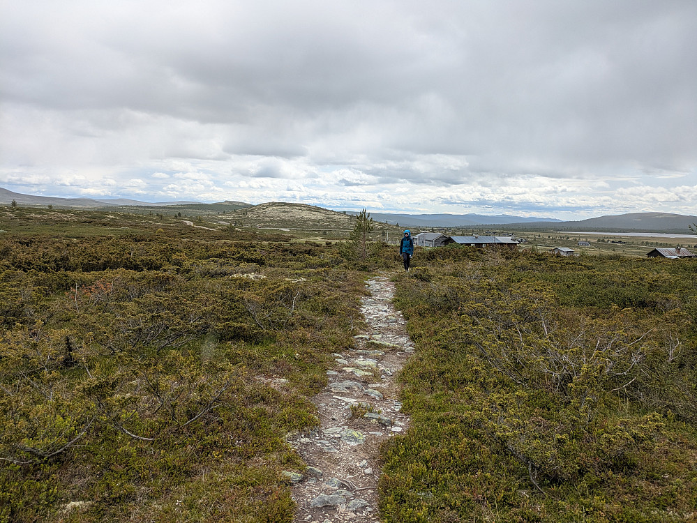 Avgårde fra Øygardsætrin 