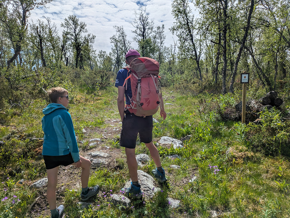 Avgang fra Øyvassosen