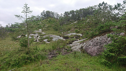 The start of the blue trail discovered at the return