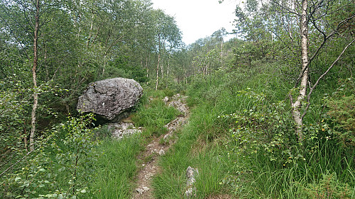 The trail along Kvernafossen