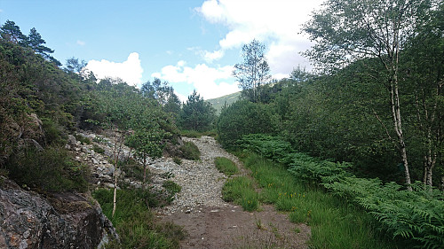 The tractor road south of Nedstaheia