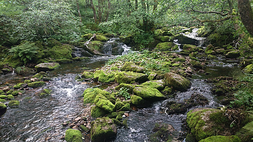 A closer look at the Kvernafossen river/waterfall