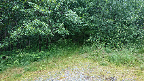 The unmarked trailhead for Preståsen