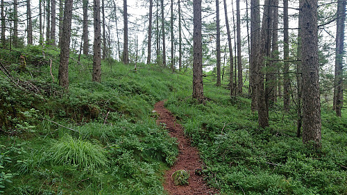 Trail towards Preståsen