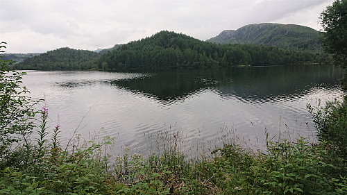 Looking back at Preståsen from the gravel road alongside Myrdalsvatnet