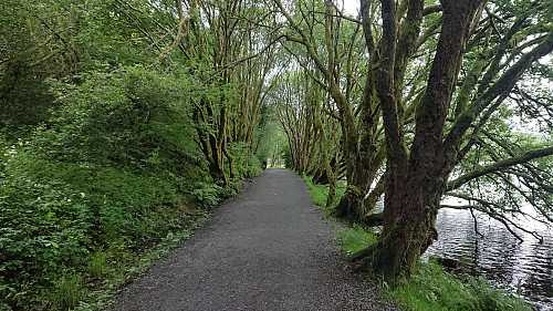 The nice gravel road alongside Myrdalsvatnet