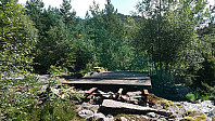 Bridge after the trailhead