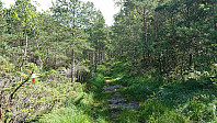Early part of the trail