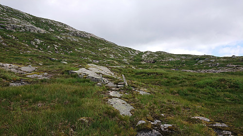 Cairns northeast of Dravlekupa