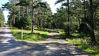 The unmarked trailhead
