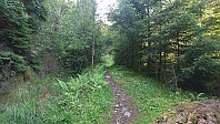 Marked trail to Siggjo