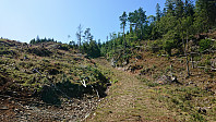 Tractor road towards Furefjellet