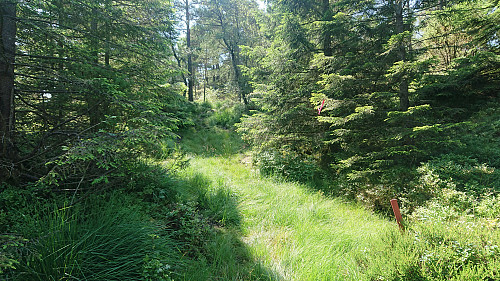 Approaching the summit