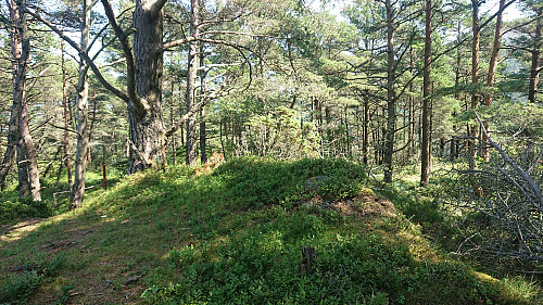 The highest point at Furefjellet