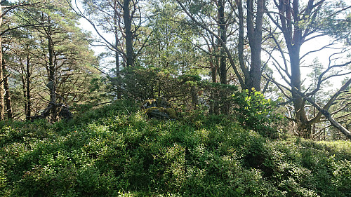 Old cairn south of the summit