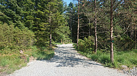 Gravel road at the trailhead