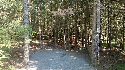 I started hiking from here