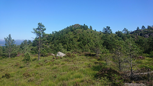 Undergjota from the trail to Vardafjellet