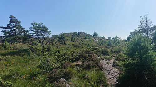 Approaching the summit