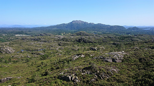 Siggjo from Vardafjellet