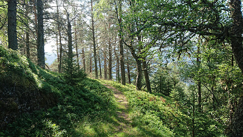 The trail from Bjedlastølen down to Bjella