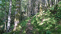 The trail up from Rød
