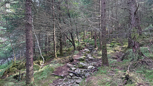 The trail in the valley northeast of Rødsaksla