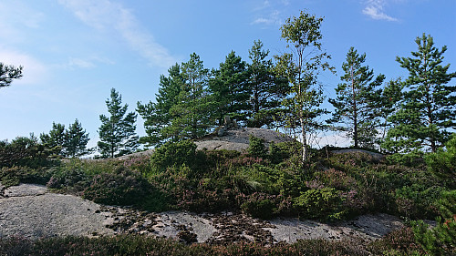 The summit of Rødsaksla