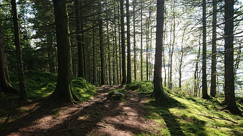 From the descent to Rød