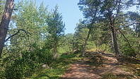 Børesteinen from the trail