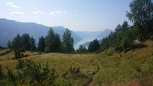 Lustrafjorden from Ferestad with Molden to the right