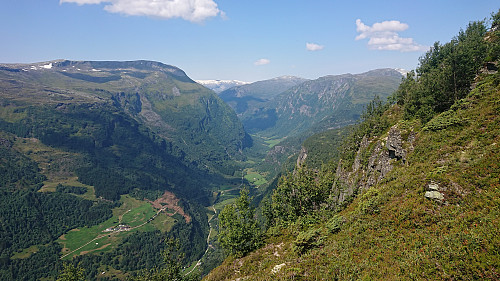 Dalsdalen from Børesteinen with Fivlenosi to the left