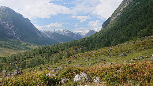 Langedalen from above Tungestølen