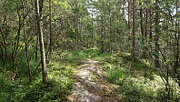 Trail towards Gjelet