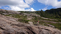 Towards Råsene