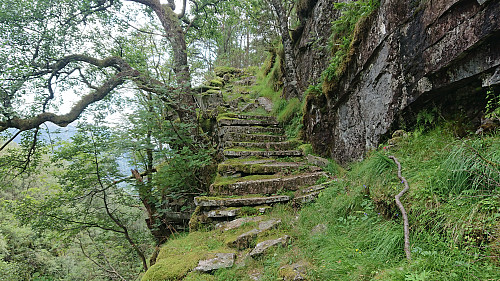 Impressive old stone steps just as the trail to Nordkvingo exits Gjelet