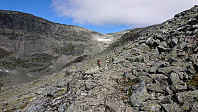 The marked trail