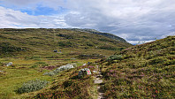 Approaching the tractor road