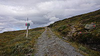 Leaving the tractor road