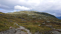 Marked trail to Lønahorgi