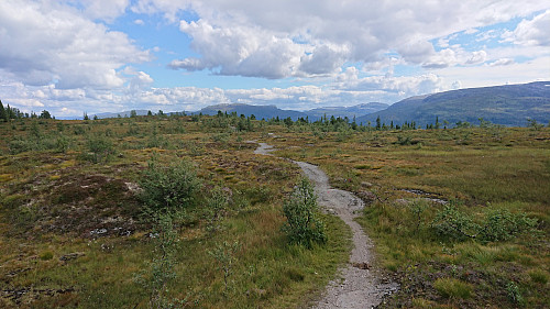 The first part of the trail down from Hangur