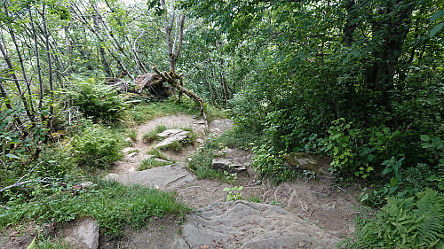 The steeper second part of the trail down from Hangur. Steeper than it looks!