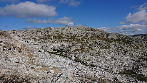 Approaching the summit of Torfinnshorgi