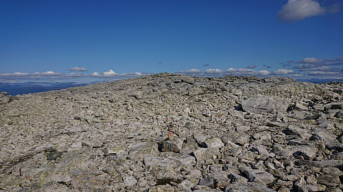 Approaching the summit of Gråsidetoppen