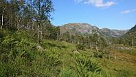 Trail west of Botnvatnet