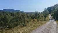 Gravel road from Holsete