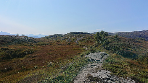 Approaching the summit of Haukåsfjellet