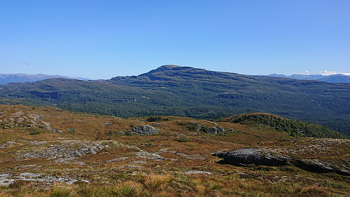 Vesoldo from Haukåsfjellet